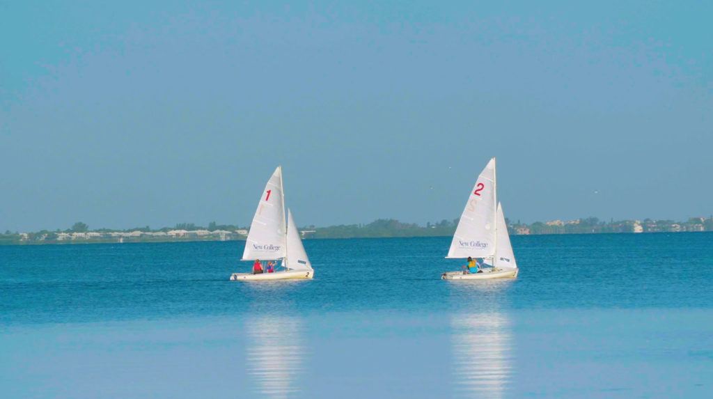 Views of Sarasota Bay and the New College of Florida sailing team from the college campus. 