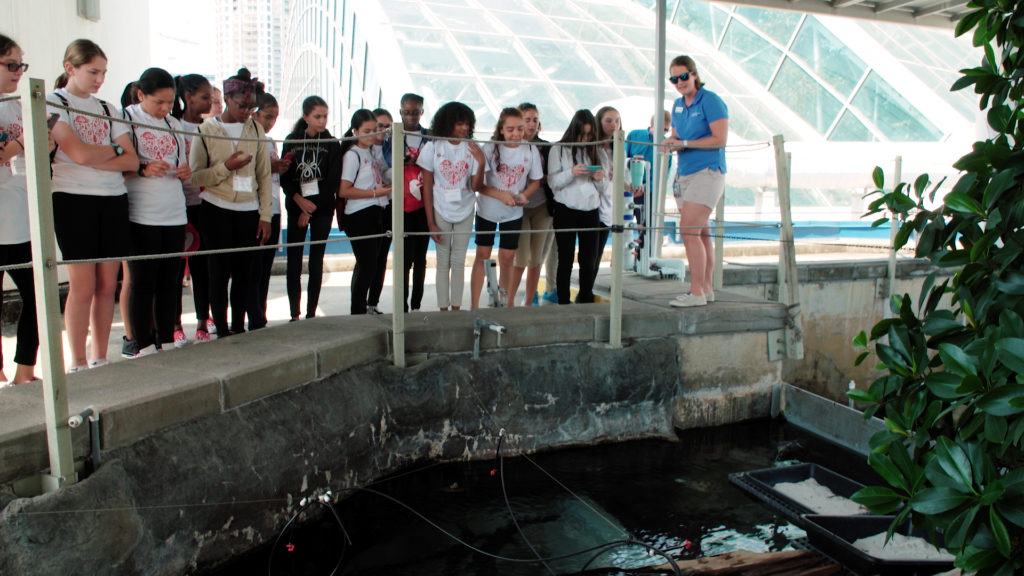 Two Stories Media provided event videography for AHA STEAM Goes Red event at the Florida Aquarium. 