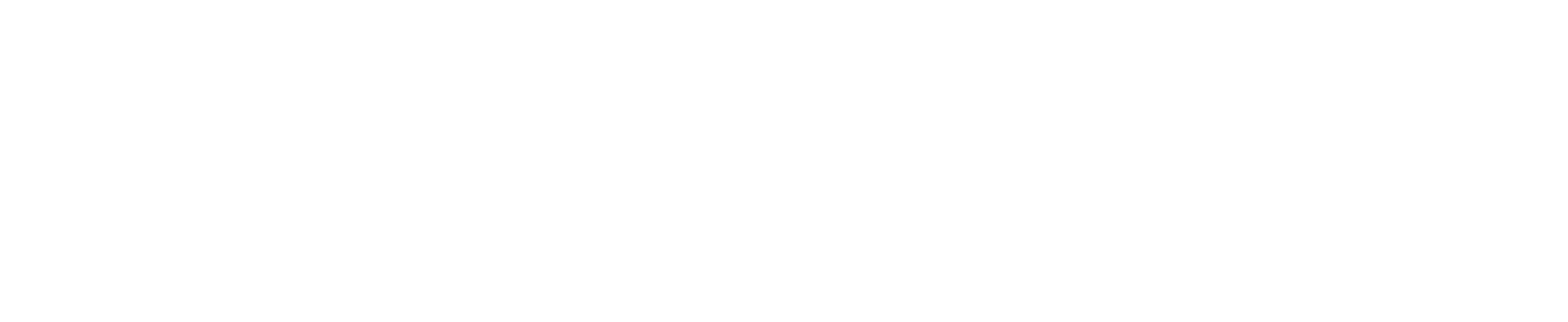 University of South Florida Logo