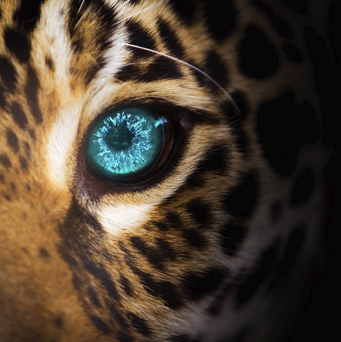 Creative direction, script writing, and post-production for Farah & Farah visuals.
