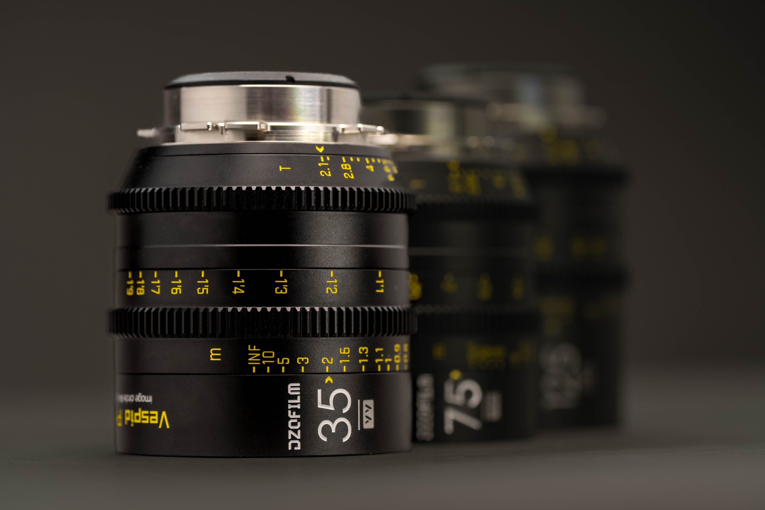 DZO Vespid Prime Kit showcasing sharp detail, natural colors, and smooth focus transitions.
