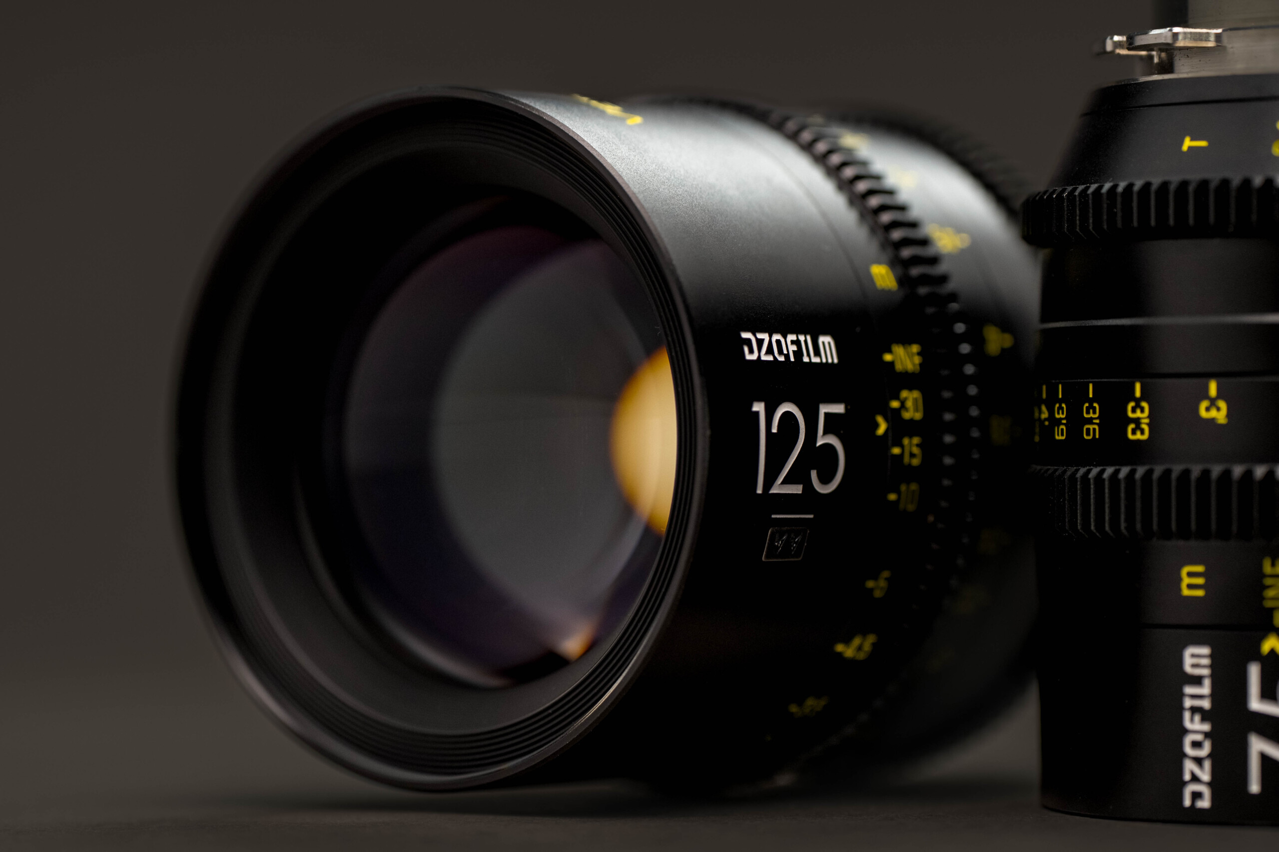 DZO Vespid Prime Kit demonstrating clarity, vibrant colors, and versatile performance.
