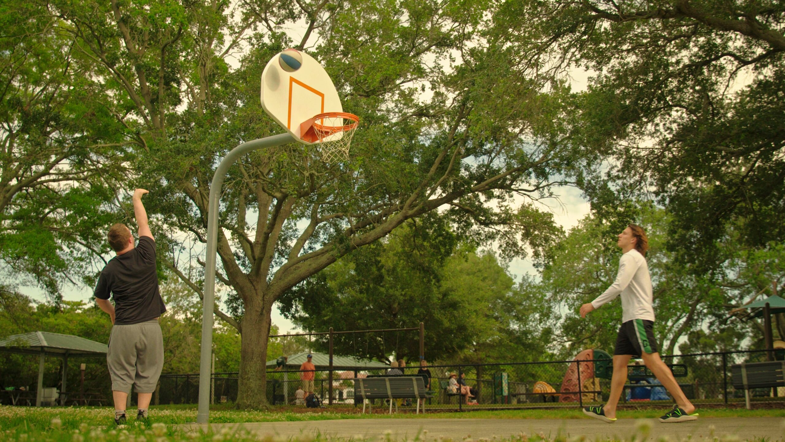 Sony FX9 Camera System showcasing vivid colors and contrast.