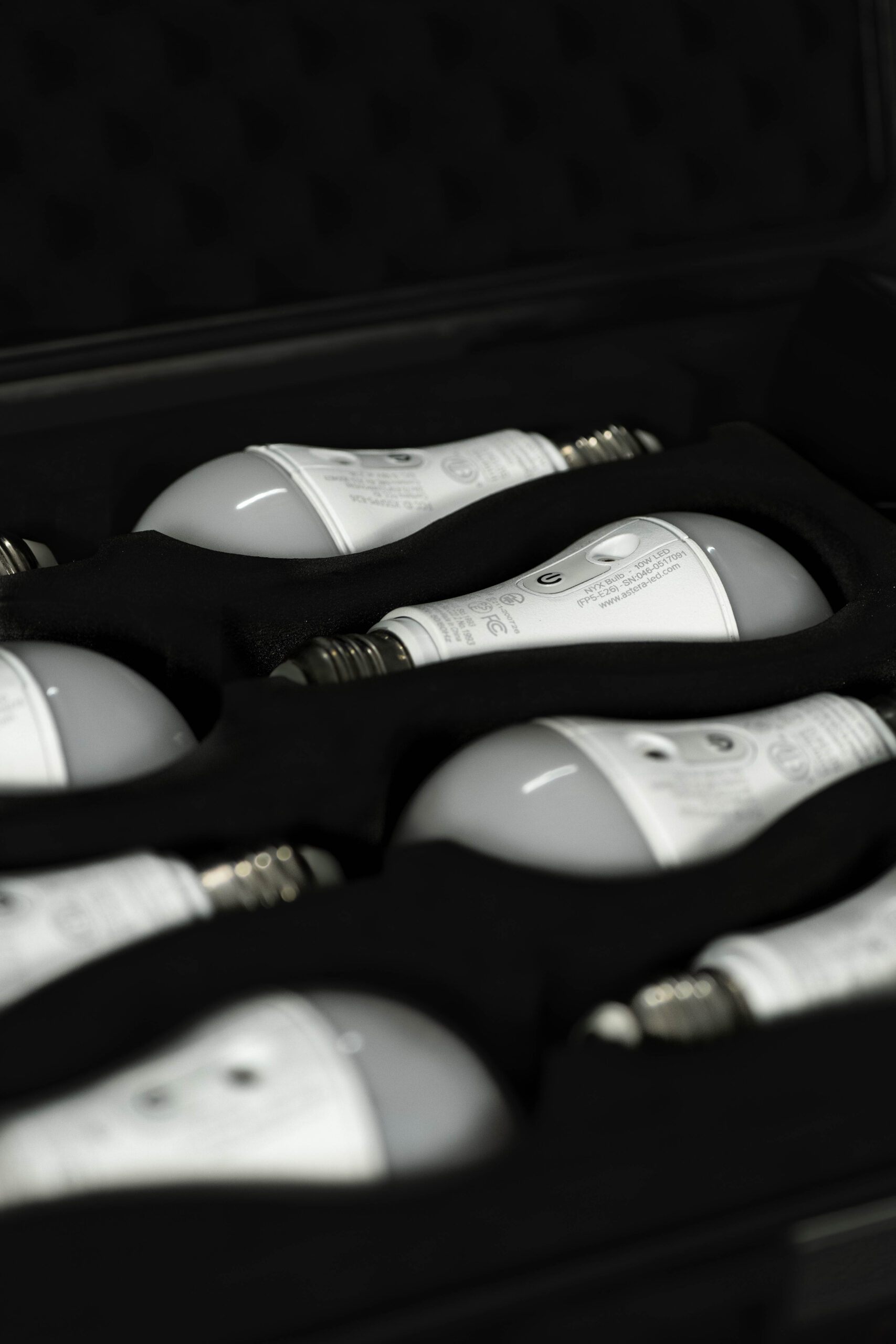 Astera LunaBulbs product photo